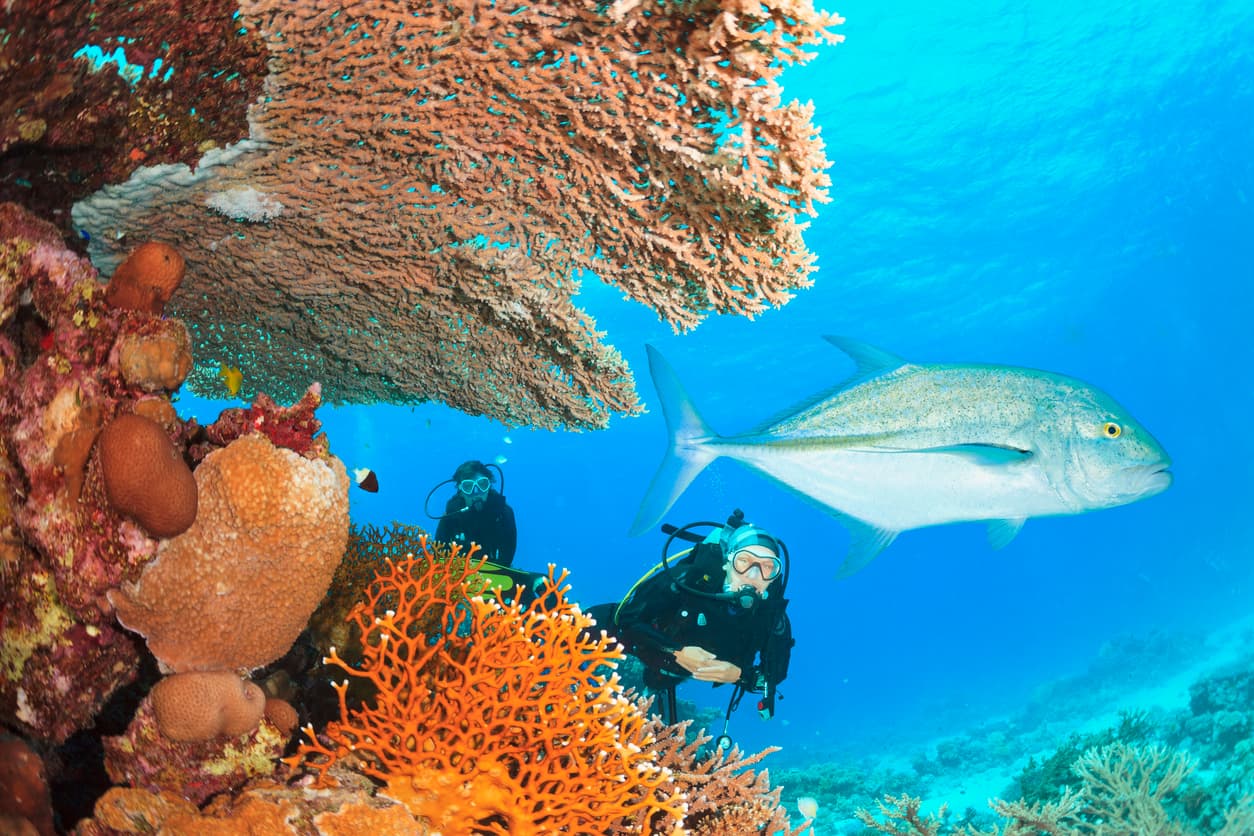 image blog image blog