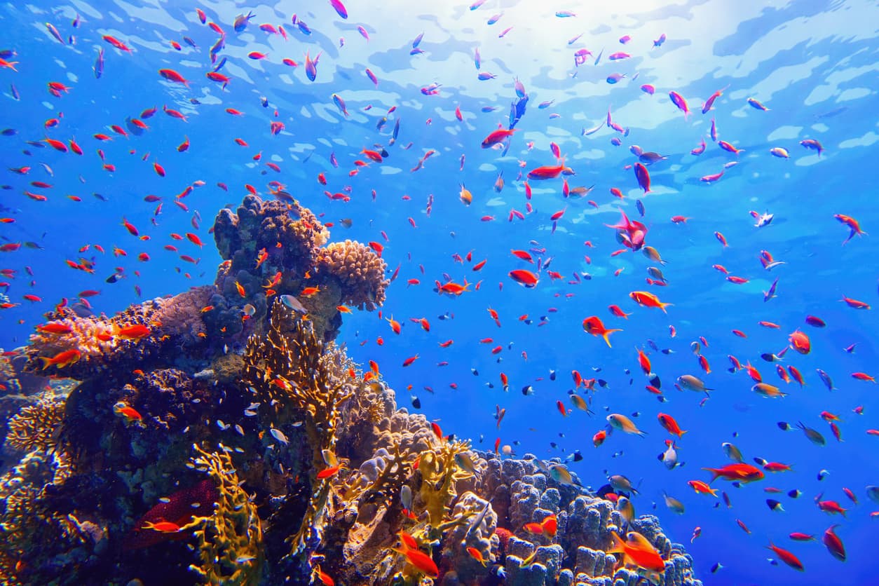 image blog image blog