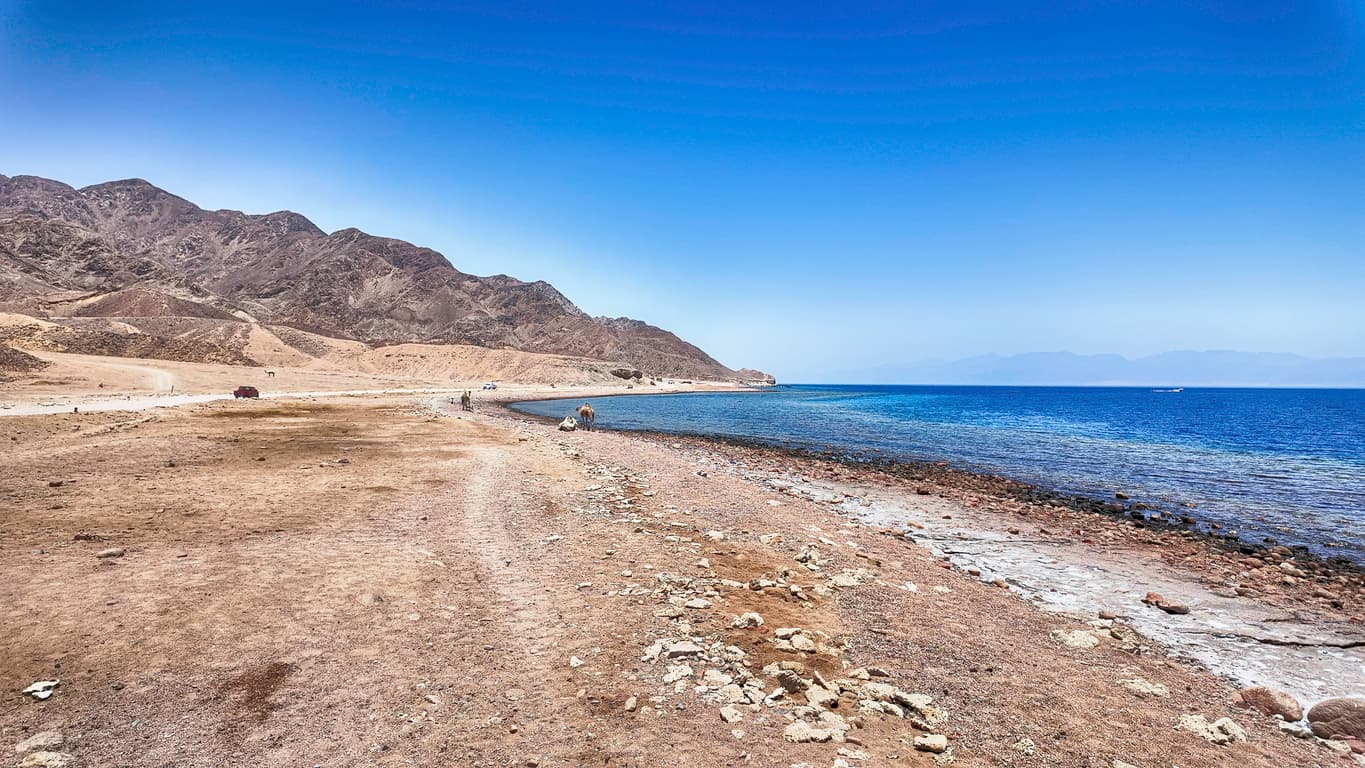 image blog image blog