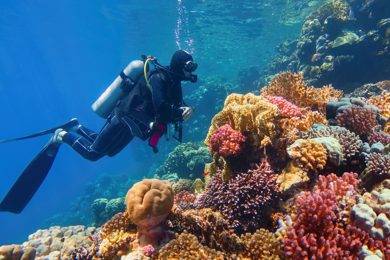 image blog image blog