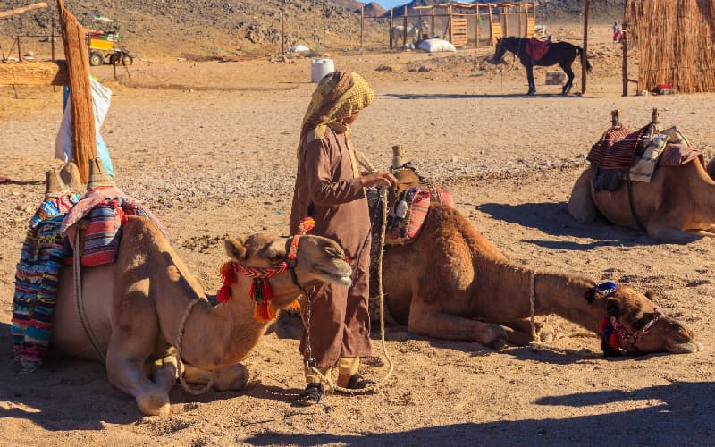 image blog image blog