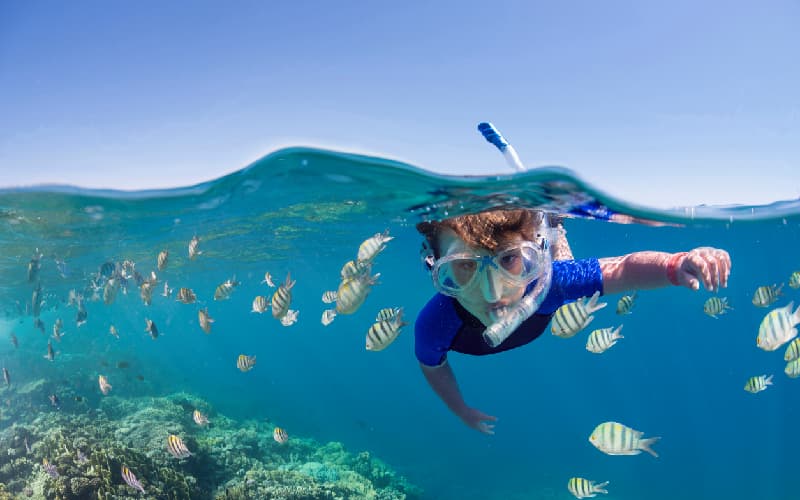 image blog image blog