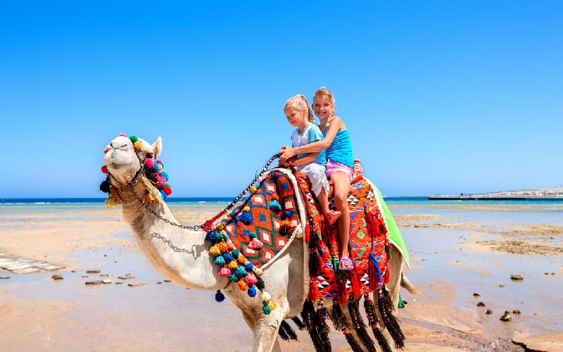 image blog image blog