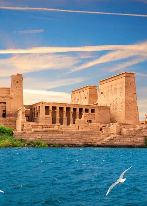 Gallery Image Gallery Image