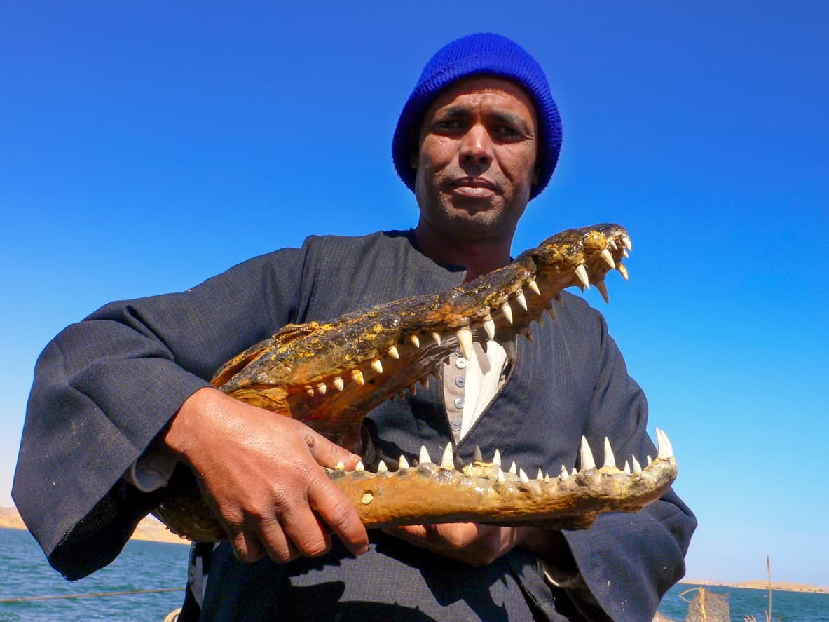 image blog image blog